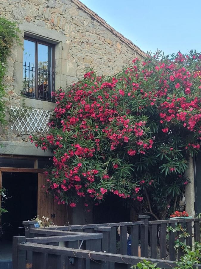 Le Studio Apartamento Azille Exterior foto